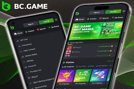 BC.Game Platform The Future of Online Gaming