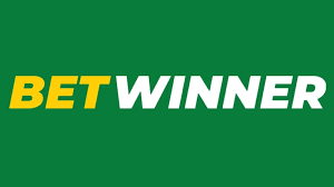 BetWinner A Comprehensive Guide for Players in Tunisia